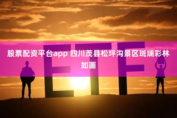股票配资平台app 四川茂县松坪沟景区斑斓彩林如画
