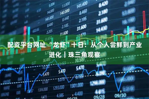 配资平台网址 “龙虾”十日：从个人尝鲜到产业进化｜珠三角观察